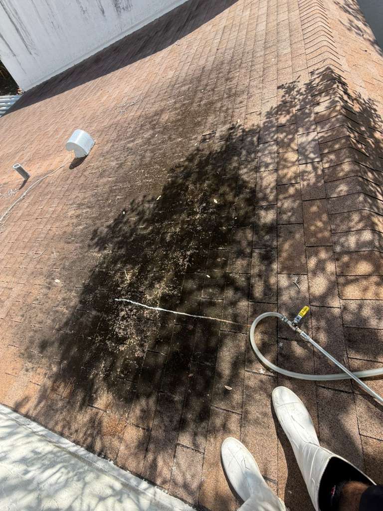 Complete Yard Cleanup - After professional lawn care and landscaping service by The Fresh Feel in South Florida